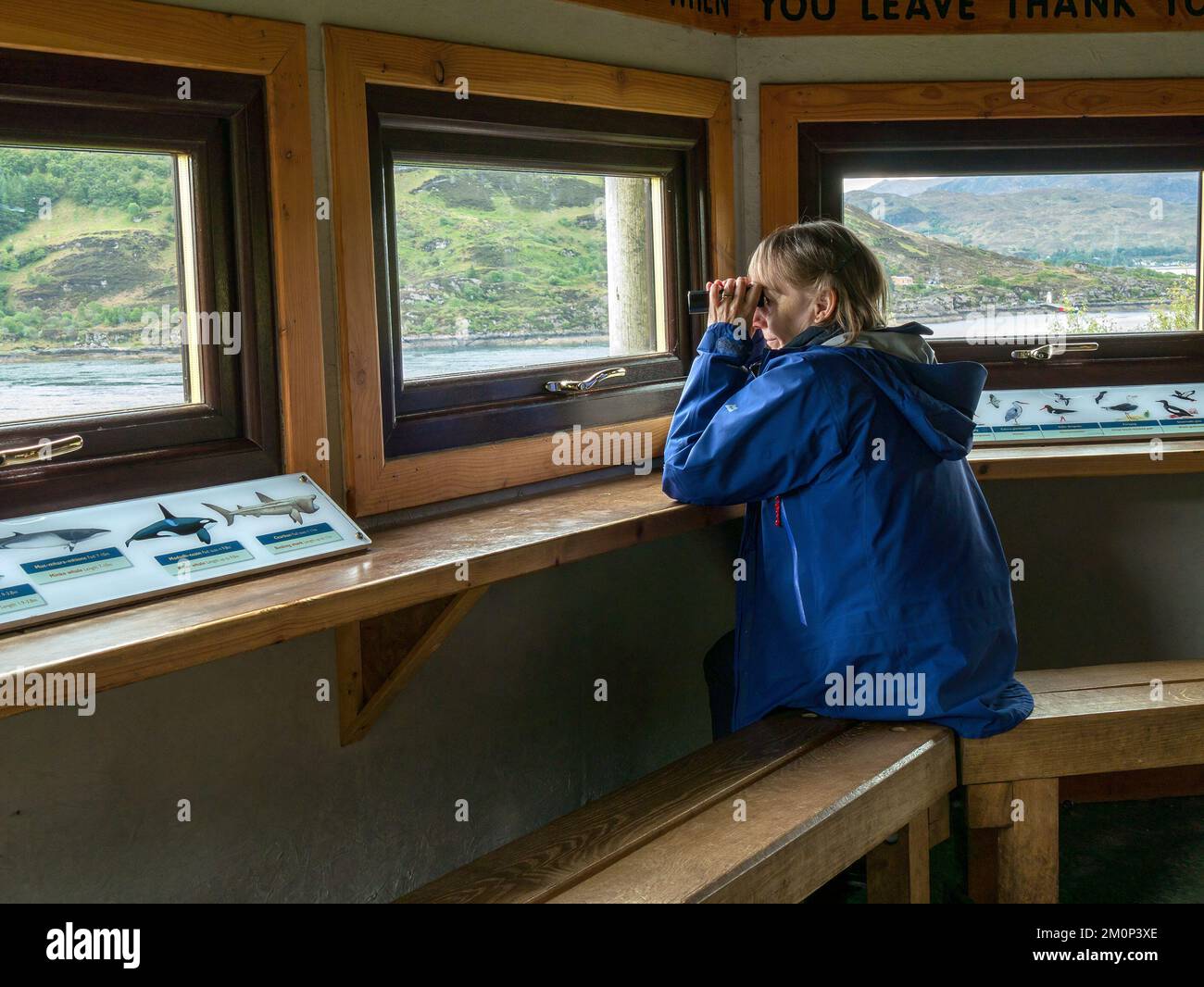 Frau Otter- und Robbenbeobachtung / Wildtierbeobachtung mit Fernglas aus dem Kylerhea Otter Hide Observatory, Kylerhea, Isle of Skye, Schottland, Großbritannien. Stockfoto