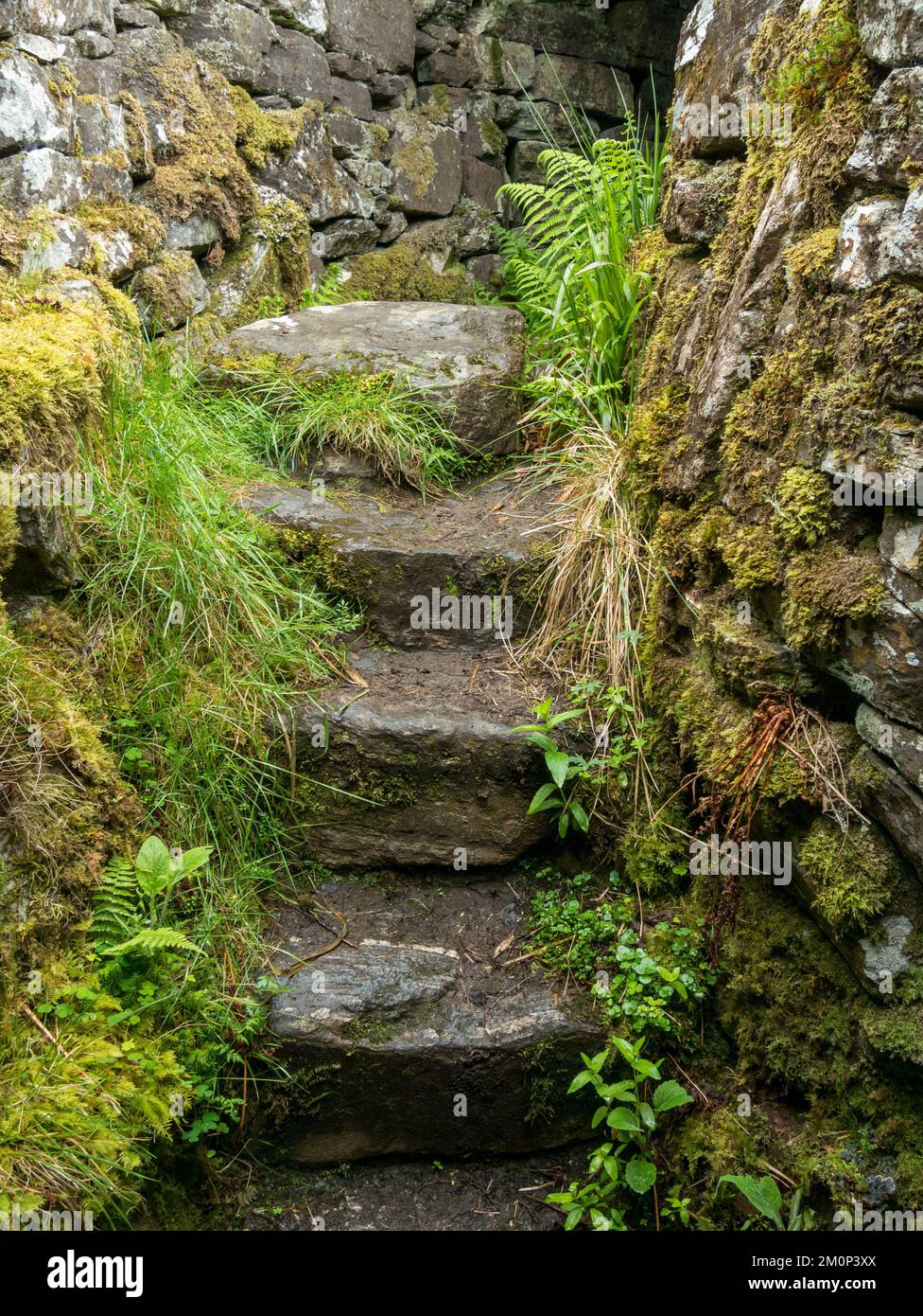 Alte Treppe in den Ruinen von Totaig Broch (Caisteal Grugaig), einem alten schottischen Rundhaus aus der Eisenzeit, Letterfearn, Highland, Schottland, Großbritannien Stockfoto