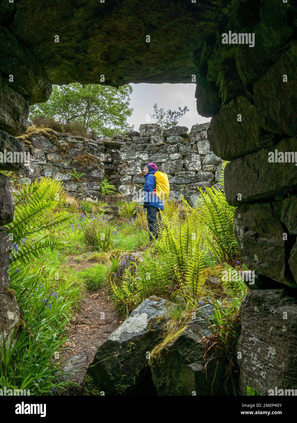 Ruinen von Totaig Broch (Caisteal Grugaig), einem alten schottischen Rundhaus aus der Eisenzeit, Letterfearn, Highland, Schottland, Großbritannien Stockfoto