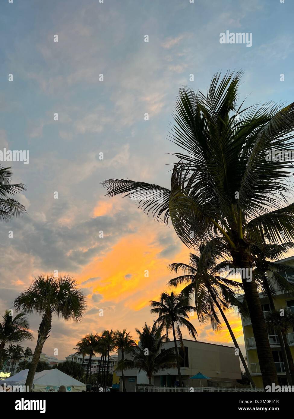 Wunderschöne Kokosnusspalme mit atemberaubendem, lebendigem Himmel bei Sonnenuntergang Stockfoto