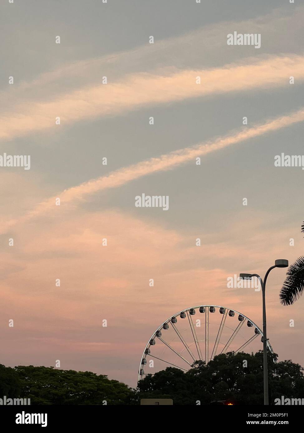 Riesenrad im Park im Zentrum von Miami bei Sonnenuntergang Stockfoto