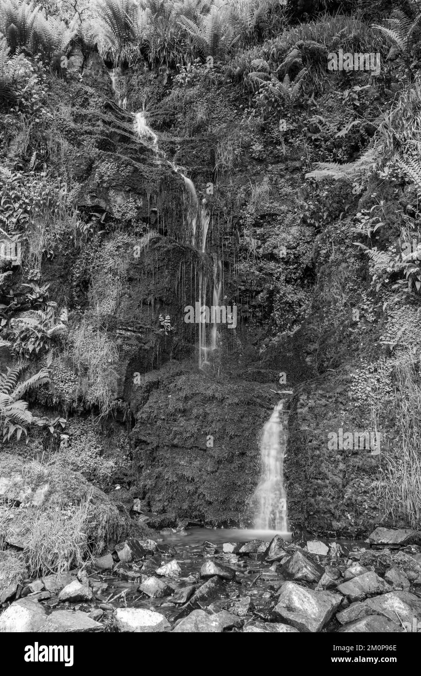 Langzeitbelichtung des Hollowbrook Wasserfalls auf dem South West Coastpath von Woody Bay bis Heddons Mouth in Devon Stockfoto