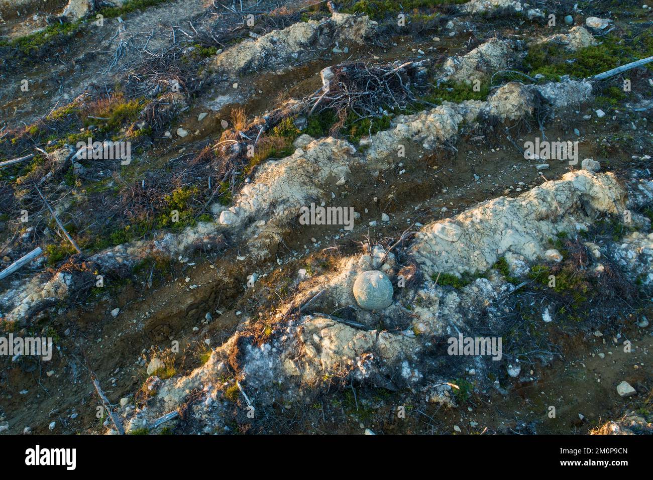 Eine Antenne eines mineralisierten, klaren Gebiets in Hossa, Nordfinnland Stockfoto