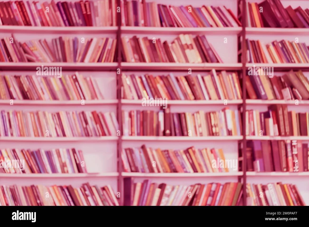 Abstrakter, verschwommener Hintergrund von Bücherregalen mit Büchern, trendige Schwarzweißfarbe. Lernkonzept, Schule, Schulanfang, Bildung Stockfoto
