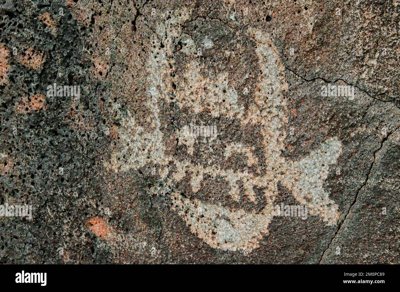 Das Petroglyph National Monument in New Mexico erstreckt sich entlang des West Mesa von Albuquerque Stockfoto