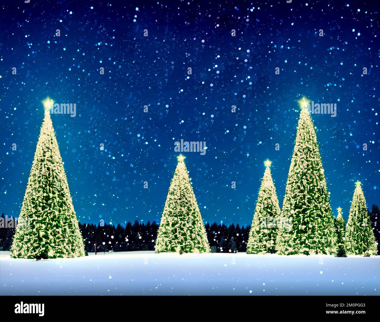 Weihnachtslandschaft - Bäume, Schnee und Sternenhimmel - digitale Illustration Stockfoto