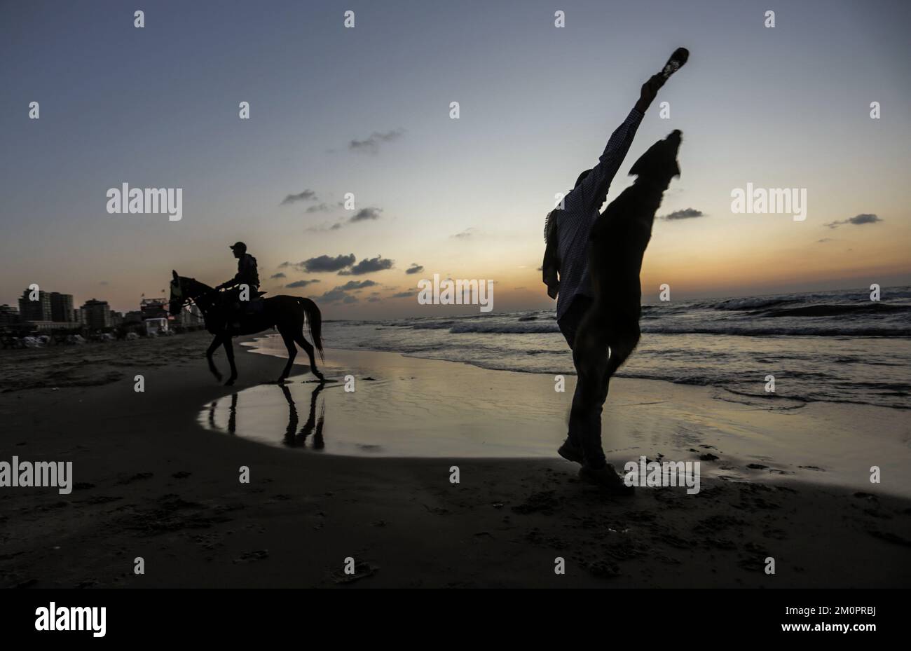 Gaza, Palästina. 07.. Dezember 2022. Ein Palästinenser trainiert seinen Hund bei Sonnenuntergang entlang der Küste westlich von Gaza City. (Foto: Mahmoud Issa/SOPA Images/Sipa USA) Guthaben: SIPA USA/Alamy Live News Stockfoto