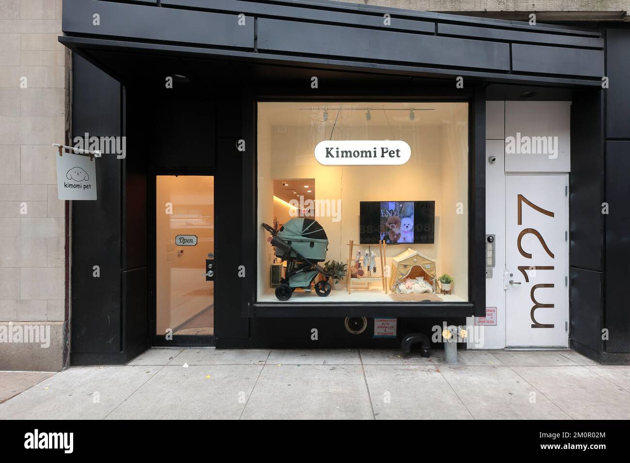 Kimomi Pet, 127 Madison Ave, New York, NYC, Foto einer Tierhandlung in Midtown Manhattan. Stockfoto