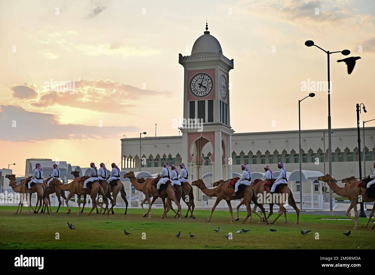 Eindrücke aus Doha/Katar am 7.. Dezember 2022. Kamelwächter auf Kamelen reiten vor dem Regierungssitz Amiri Divan des Emir des Staates Katar, Regierungsgebäude. Araber, Kamel, Kamele. Fußball-Weltmeisterschaft 2022 in Katar ab 20,11. - 18.12.2022? Stockfoto