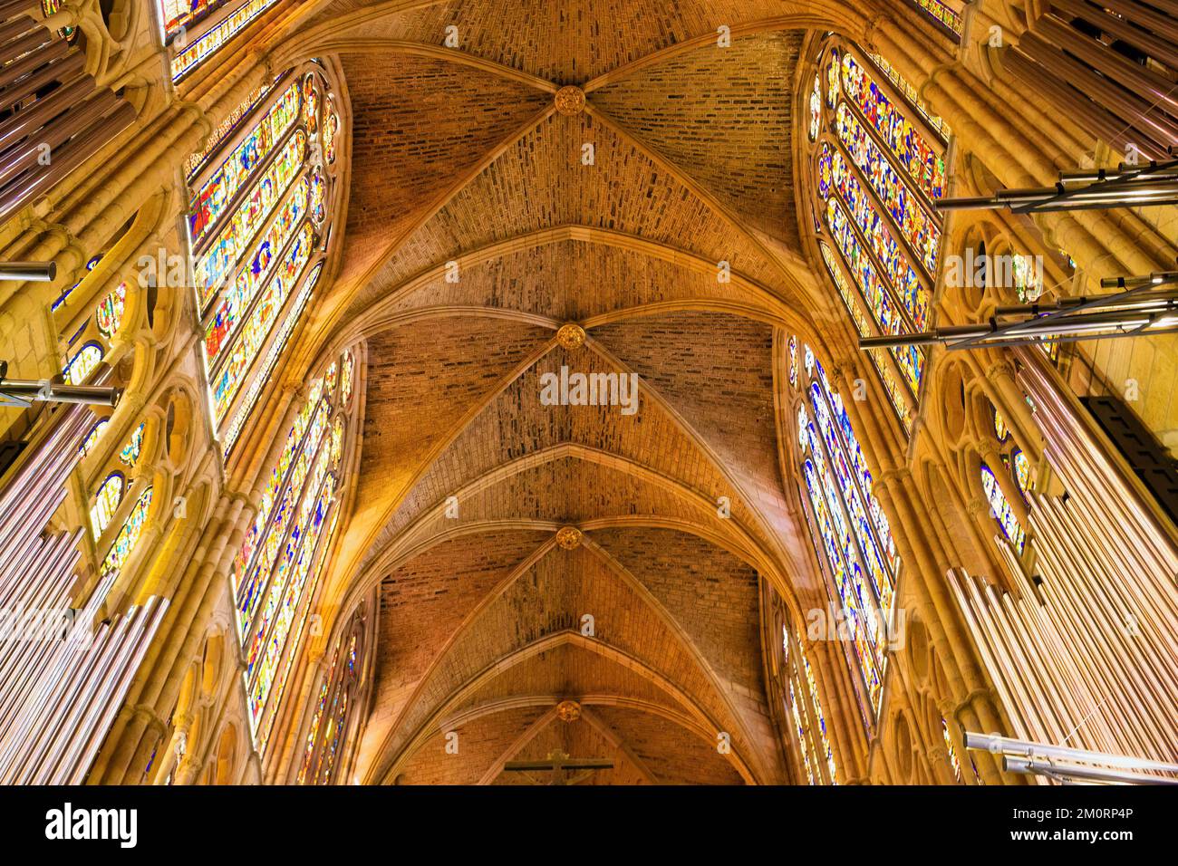 Panoramablick auf die vierteiligen gerippten Gewölbe der Kathedrale von León, Kastilien und León, Spanien Stockfoto