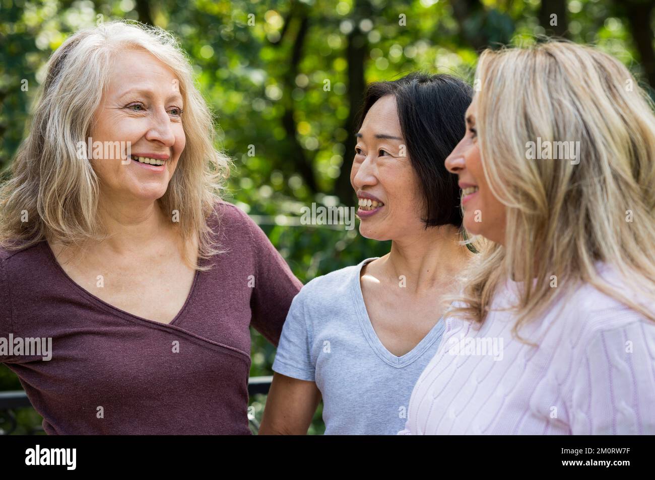 Kleine Gruppe von Frauen mittleren Alters, die im Freien chatten Stockfoto