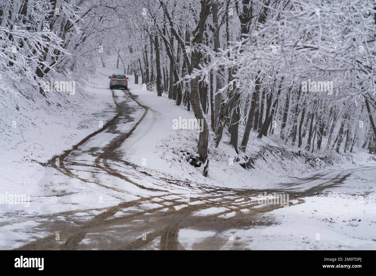 Auto in verschneiter Einfahrt. Bergstraße in Europa mit schneebedeckten Bäumen. Winterwald nach Schneefall Stockfoto