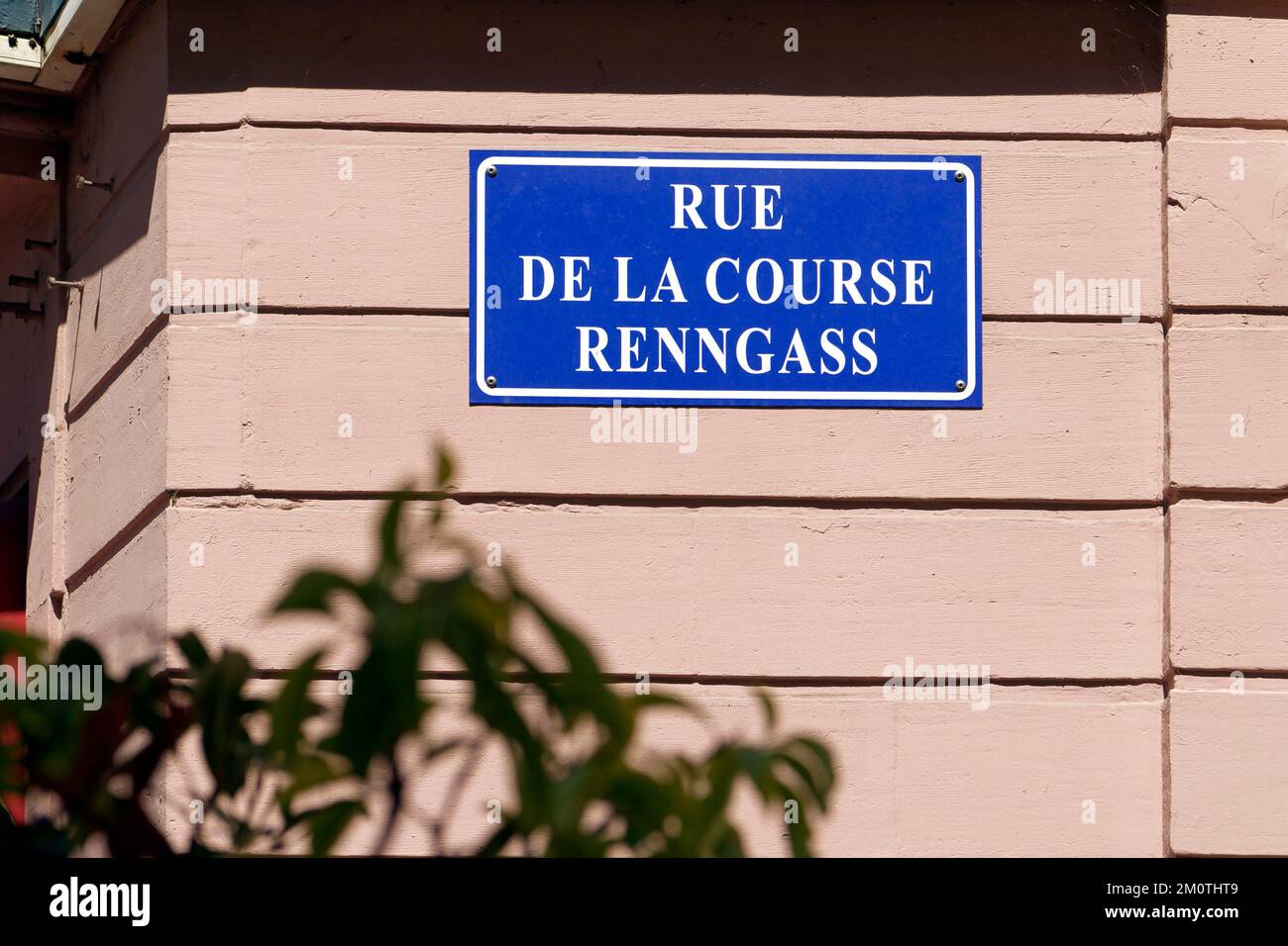 Frankreich, Bas Rhin, Straßburg, Bahnhofsviertel, Rue de la Course Straße Stockfoto