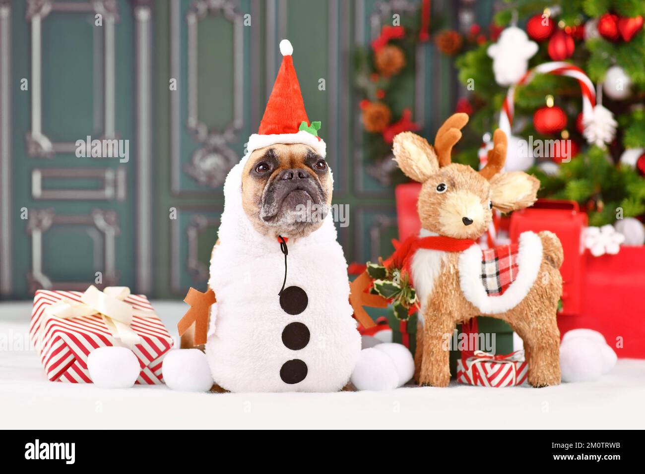 Lustiger französischer Bulldog in Weihnachtskostüm und Weihnachtsmannmütze vor saisonaler Dekoration Stockfoto