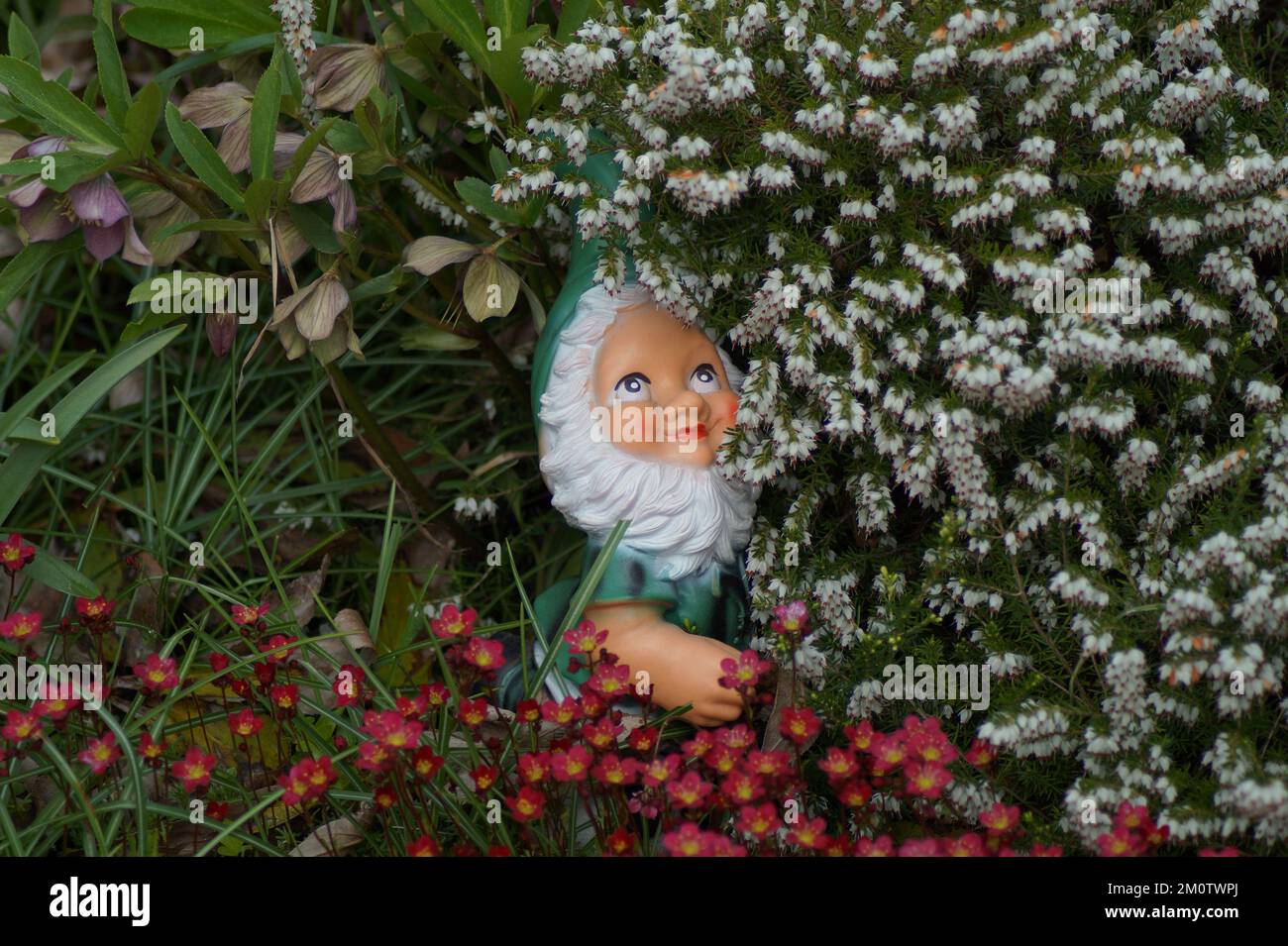 Kleine Zwerge verstecken sich im Garten Stockfoto