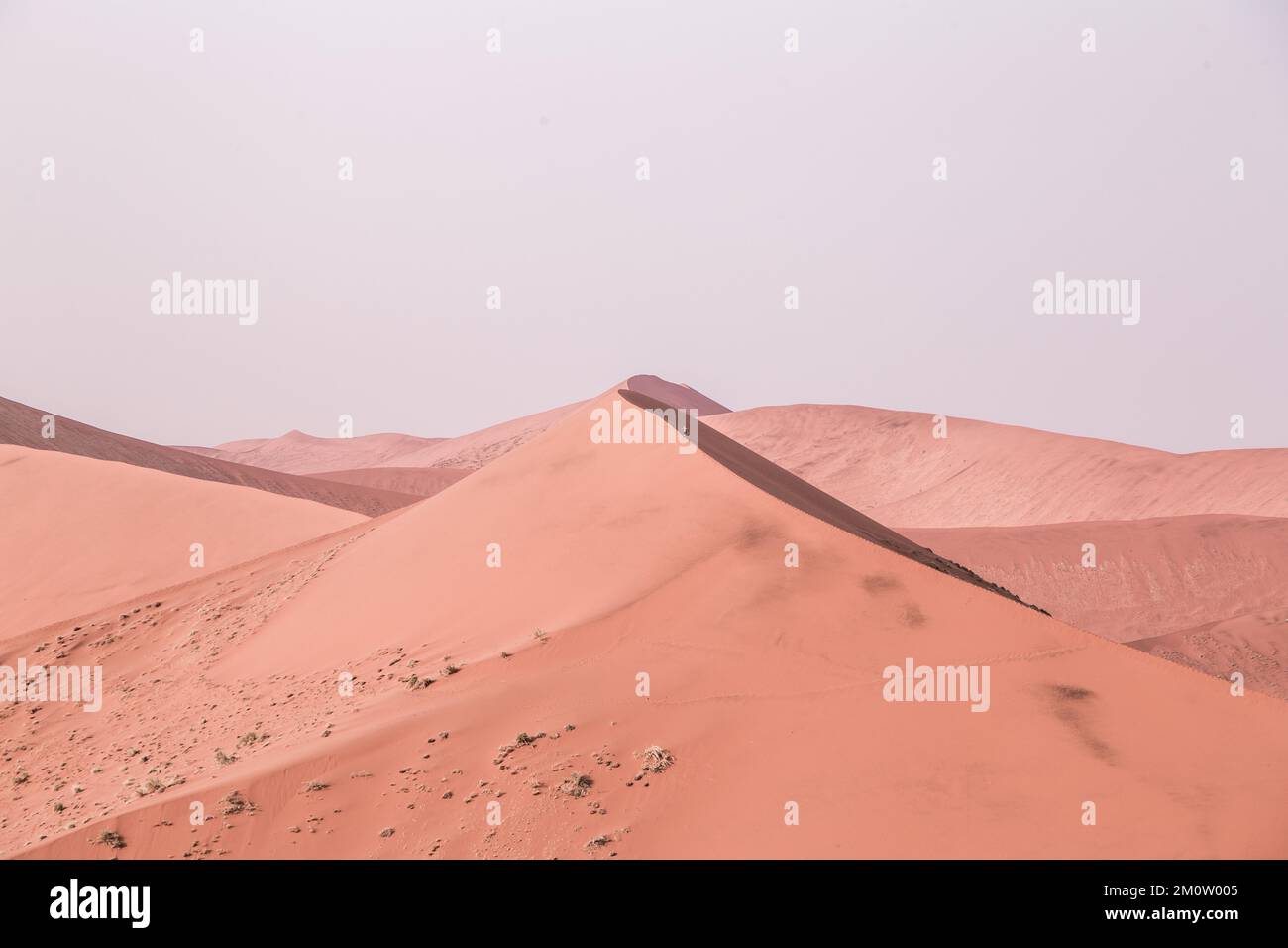 Fotografie der Big Daddy Dune in sossusvlei Stockfoto