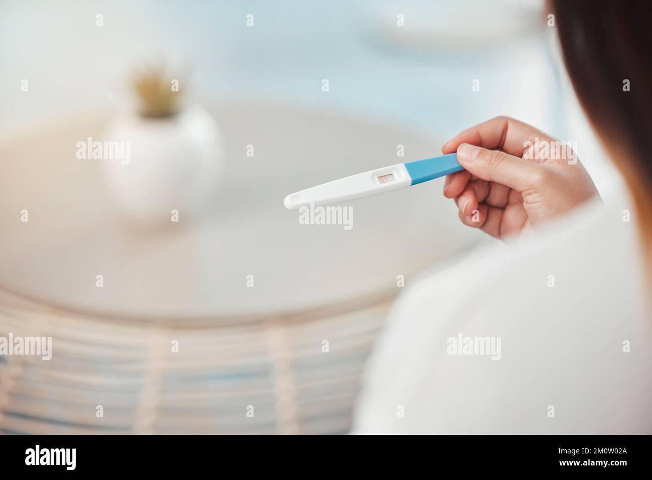 Hand-, Schwangeren- und Heimtest bei Frauen mit positiver Ergebnisbestätigung bei der Schwangerschafts-Kit-Kontrolle. Schwangerschafts-, Mutterschafts- und Fruchtbarkeitstest Stockfoto