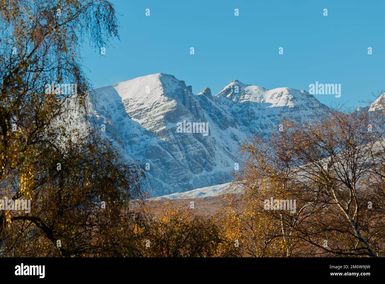 Ein Teallach-Berg und Birken in Herbstfarben, Highland Schottland Stockfoto