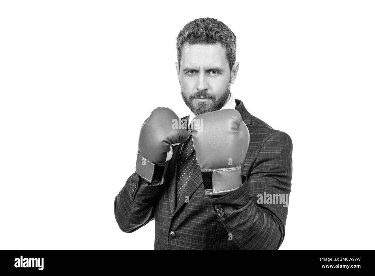 Der Senior Manager steht in Kampfposition und trägt Boxhandschuhe in formalwear, Herausforderung Stockfoto