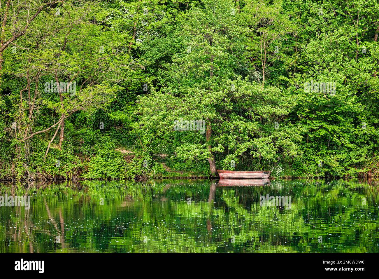 Fluss, Boot und grüne Bäume auf Wasserreflektion Stockfoto