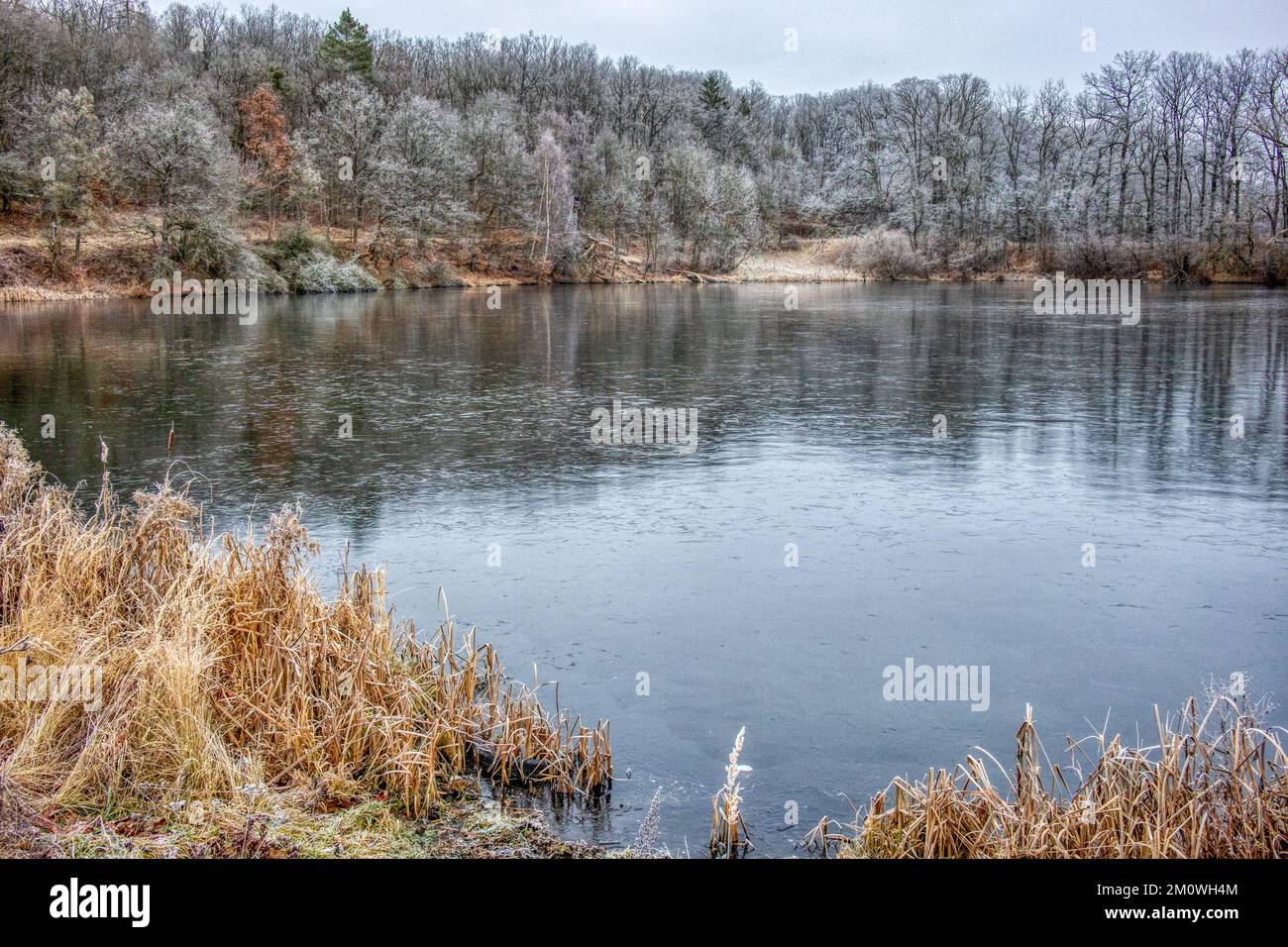 Harzgerode Selketal Region Winterlandschaft Stockfoto