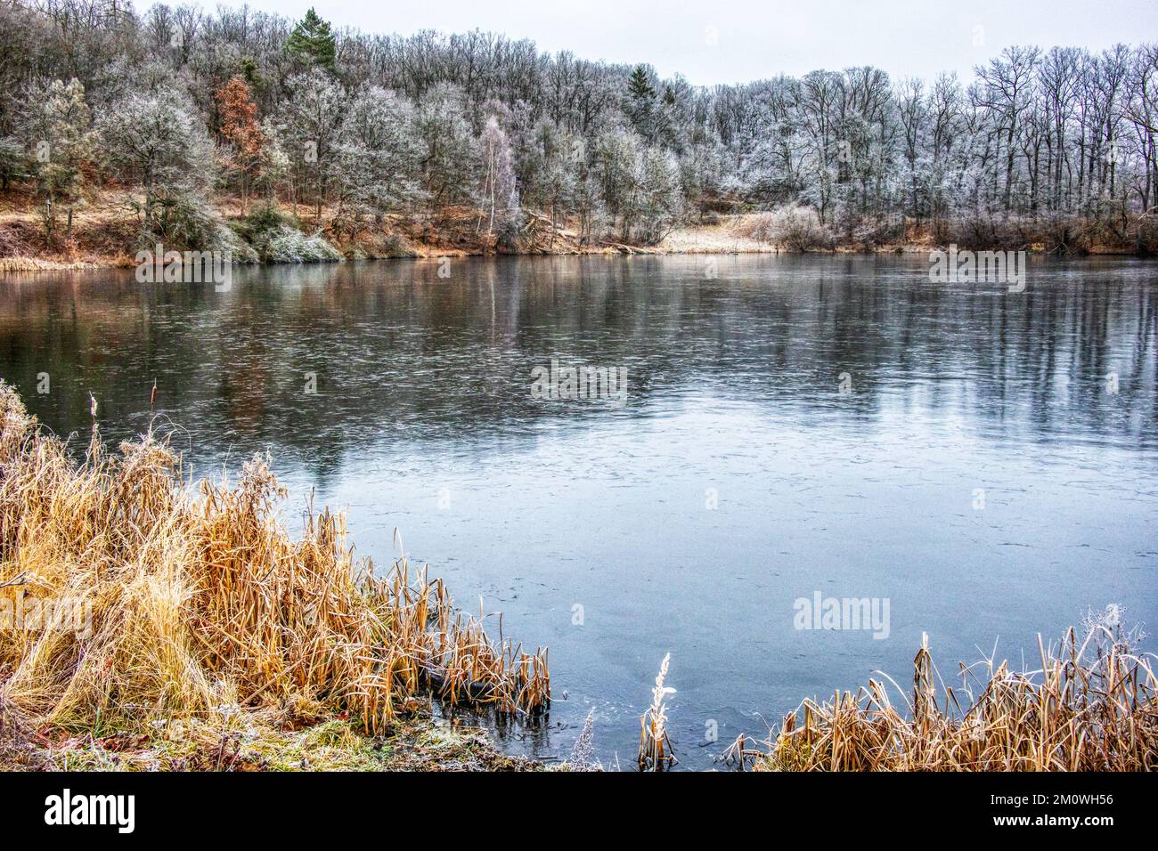Harzgerode Selketal Region Winterlandschaft Stockfoto