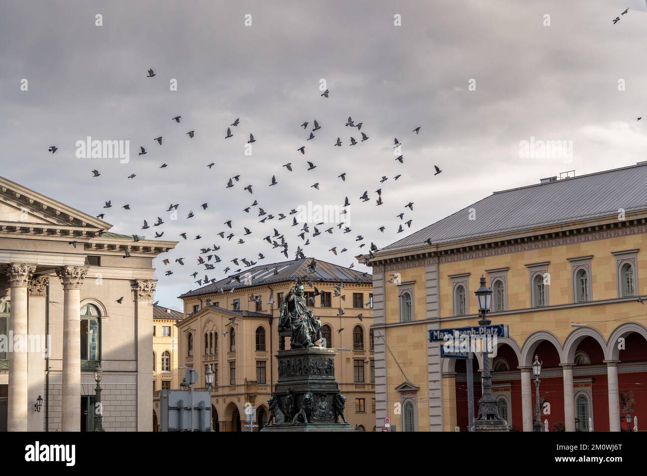 Die Vögel, die über den Max-Joseph-Platz in München fliegen. Stockfoto