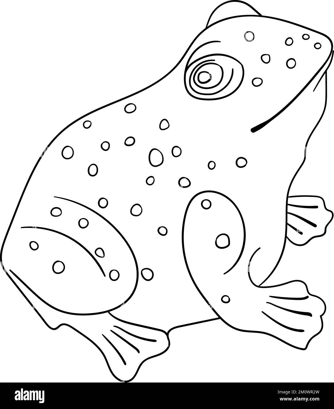 Skizze der Froschlinie - Darstellung des isolierten Vektors Stock Vektor