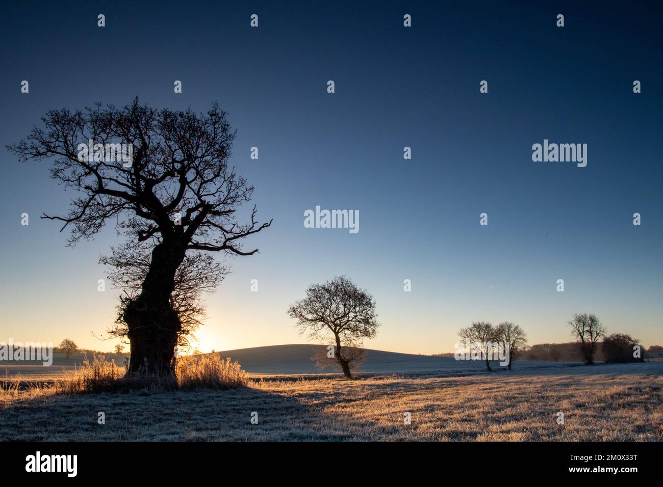 Frostiger Sonnenaufgang Im Dezember Stockfoto