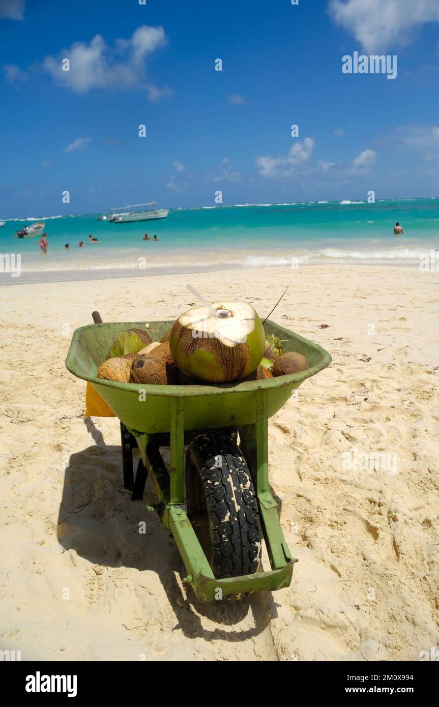Ein Kokosnussgetränk in einer Schubkarre am Strand Stockfoto