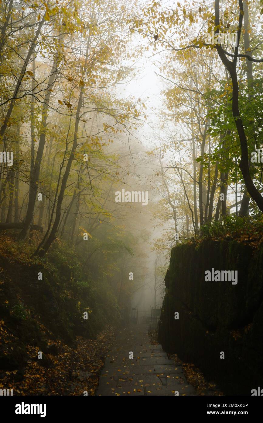 Ein Pfad zwischen Felsen und bunten Bäumen im Nebel und Nebel an einem Herbsttag Stockfoto