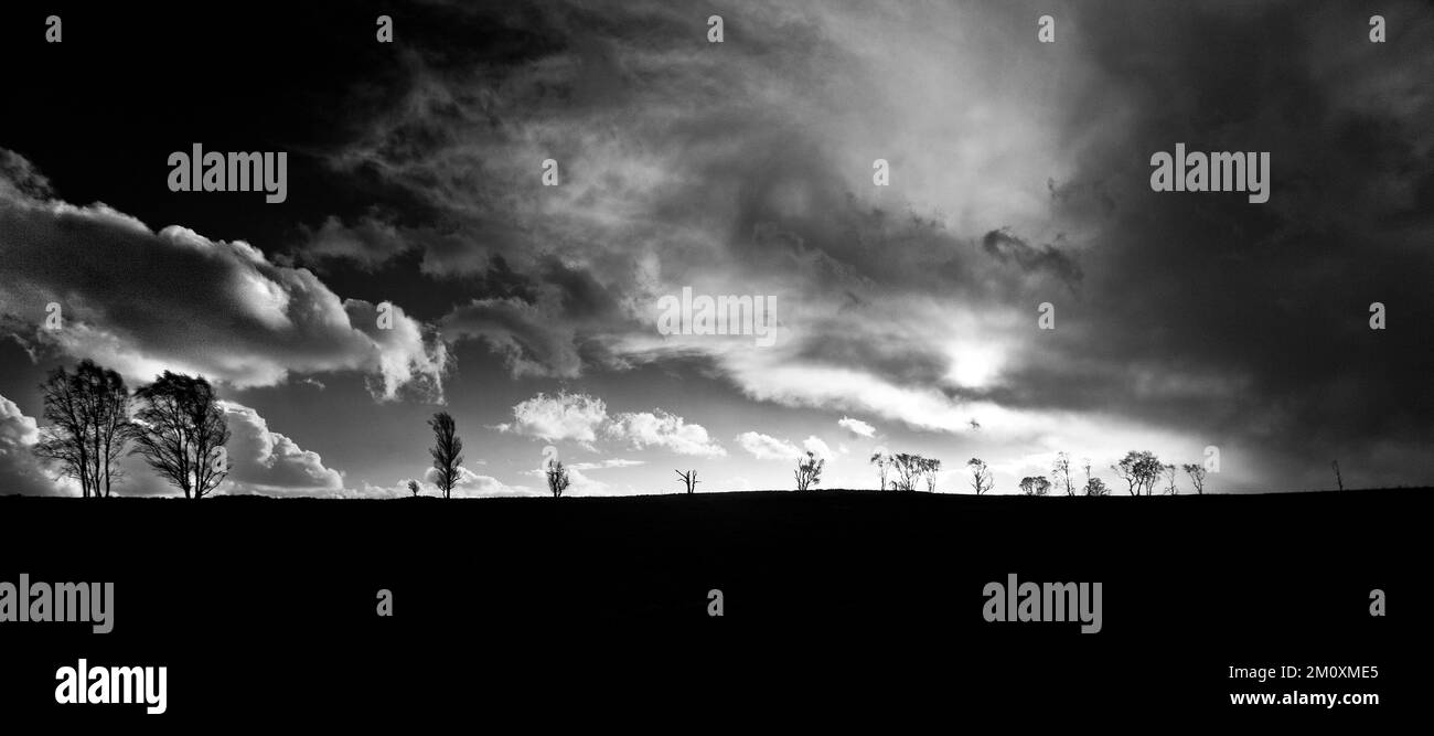 Schwarzweißfoto mit stürmischem Himmel im Winter über Heiden im Cannock Chase AONB Gebiet von herausragender natürlicher Schönheit in Staffordshire, England Stockfoto