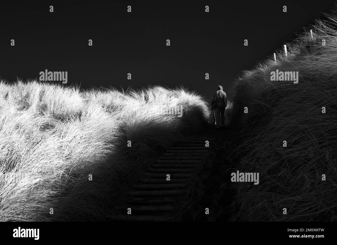 Schwarzweiß-Fotografien von Walkern bei Traeth Crigyll an der Westküste der Isle of Anglesey, North Wales, Großbritannien, Herbst. Stockfoto