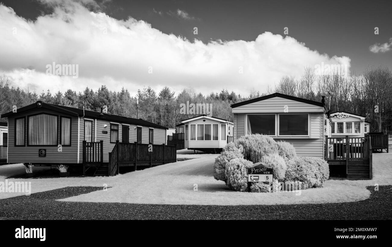 Schwarzweißbilder von Waldgebieten im späten Frühling Stockfoto