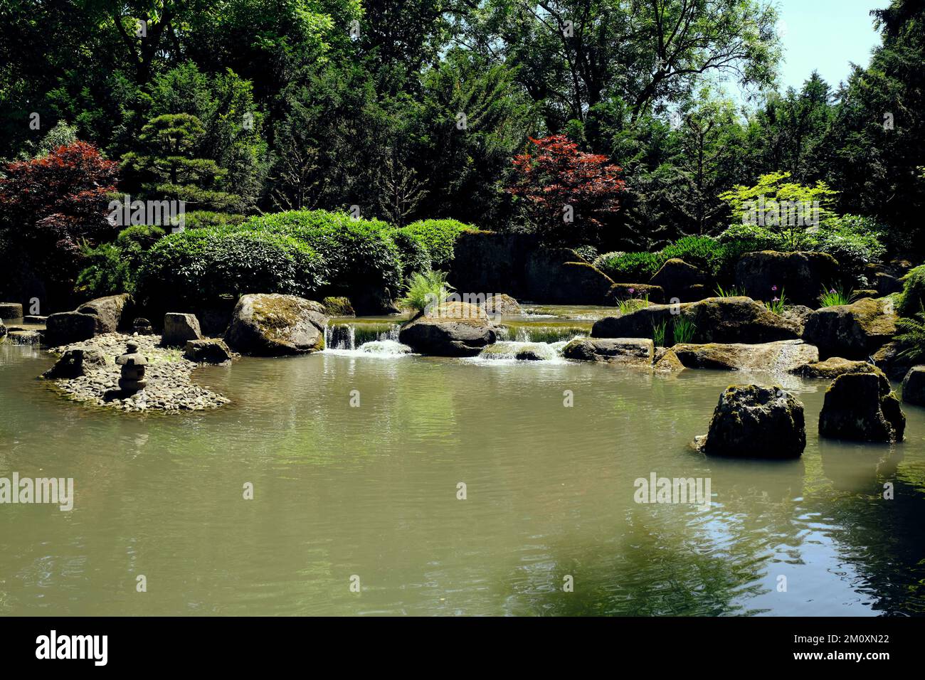 Ein wunderschöner Blick auf einen Fluss mit grünen Bäumen und Pflanzen im Augsburger Botanischen Garten Stockfoto