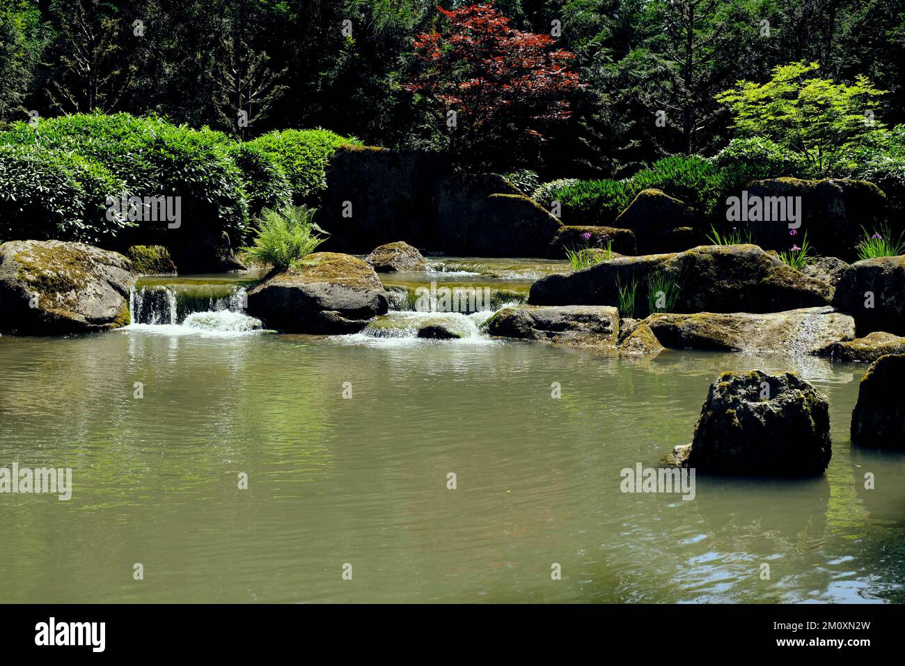 Ein wunderschöner Blick auf einen Fluss mit grünen Bäumen und Pflanzen im Augsburger Botanischen Garten Stockfoto