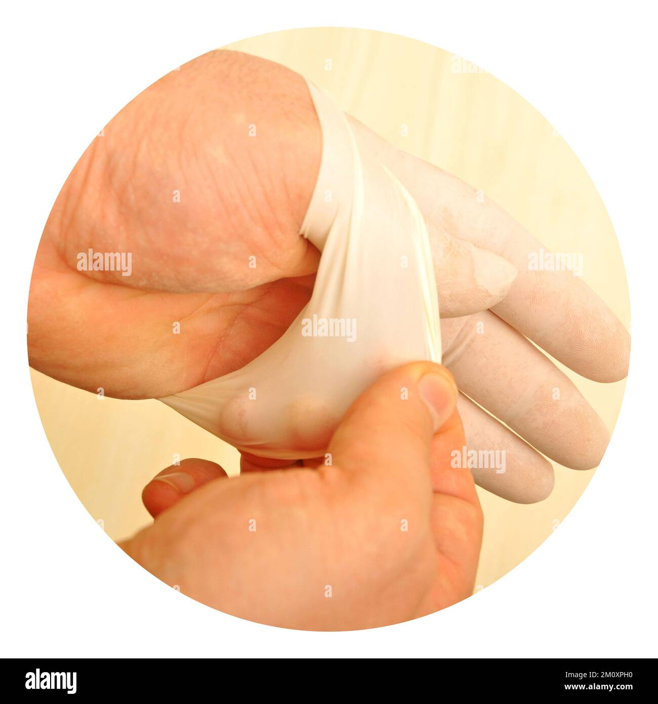 Männliche Arzthand mit weißem OP-Handschuh, medizinischer Latex-Handschuh, unerlässlich für die Hygiene Stockfoto