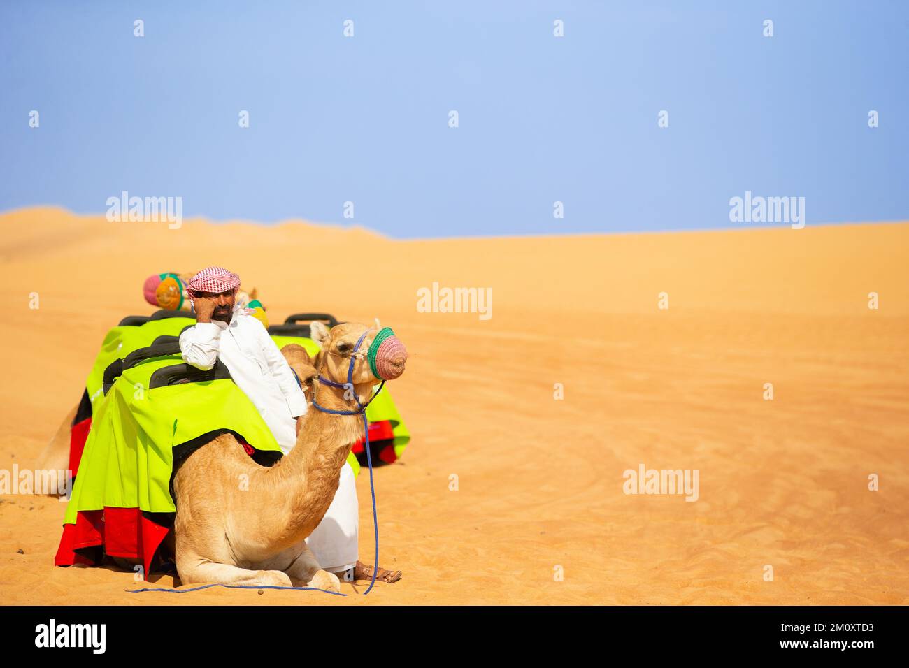 Im Dubai Desert Conservation Reserve erwartet Sie ein Kameltrainer. Stockfoto