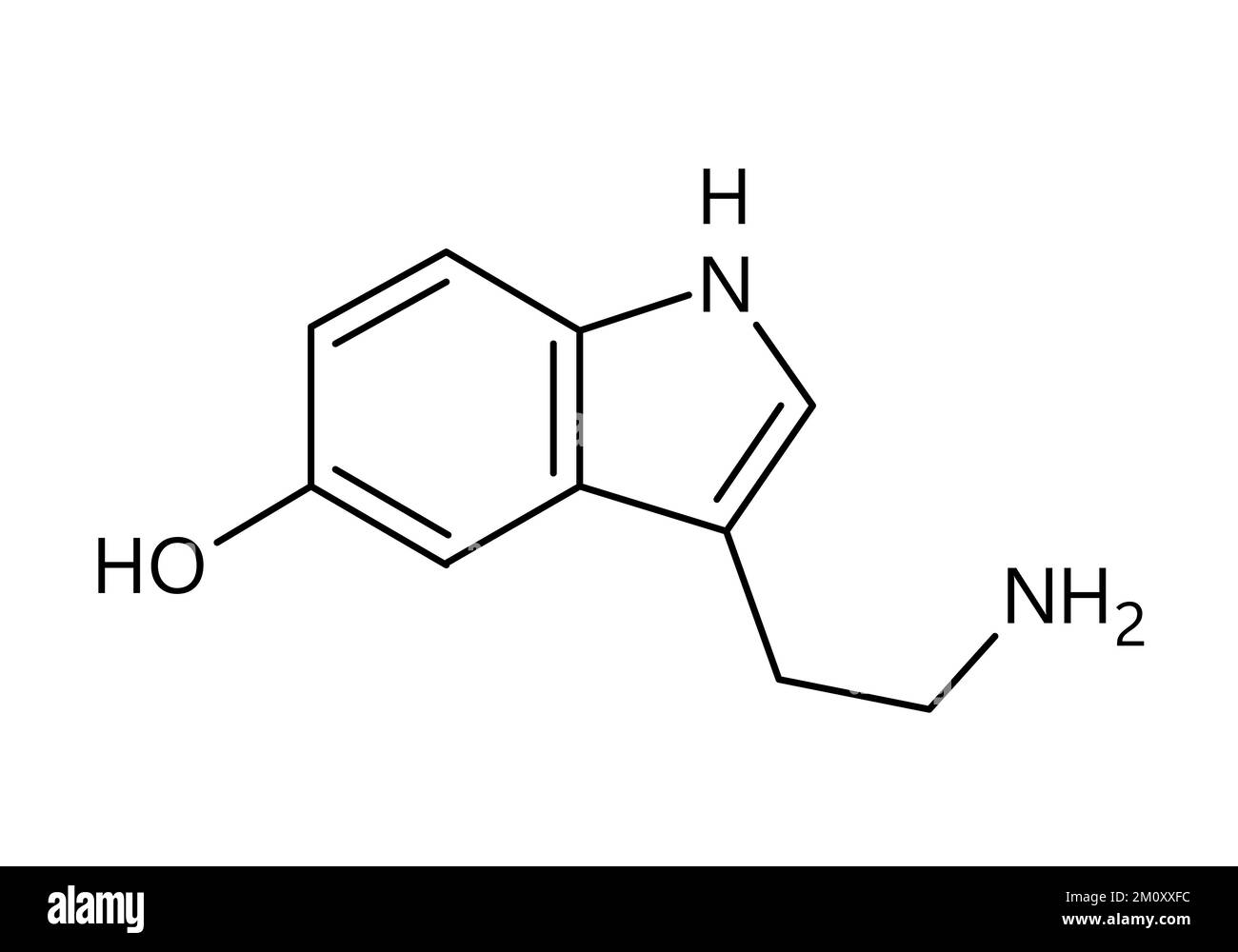 Serotoninmolekularstruktur. Serotonin ist ein Monoaminneurotransmitter, der die Stimmung, die Wahrnehmung, die Belohnung, das Lernen, das Gedächtnis und andere Funktionen moduliert. Vektorstrukturformel einer chemischen Verbindung mit roten Bindungen und schwarzen Atommarkierungen. Stock Vektor