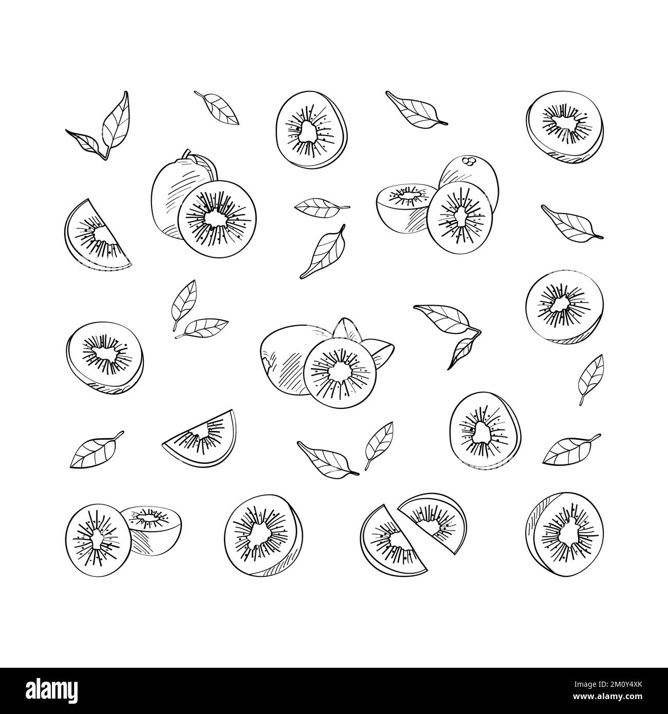 Exotische Kiwis. Vektormuster im handgezeichneten Stil. Stock Vektor