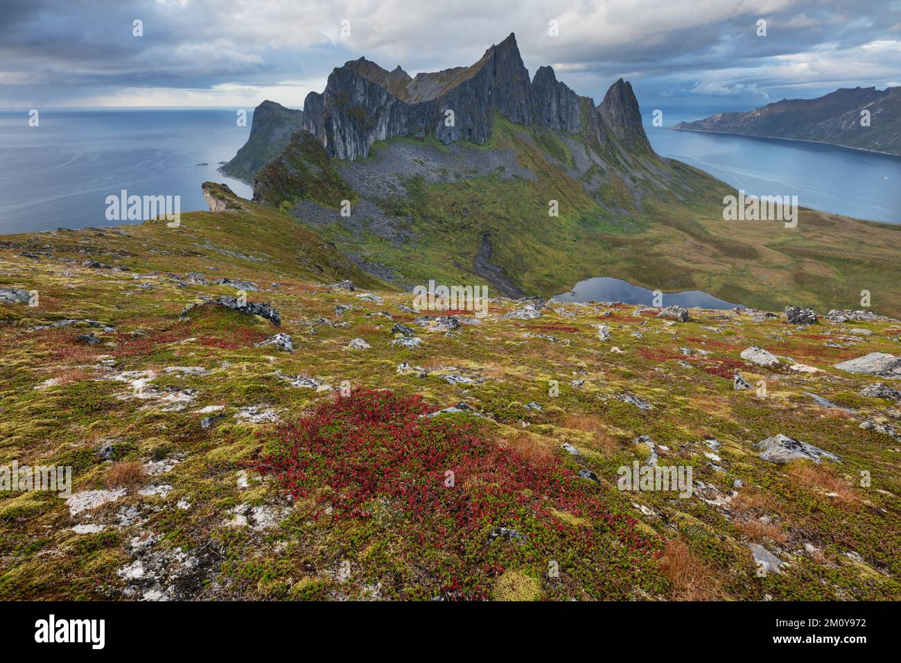 Blick in Richtung Ruggen-Kongan-Gebirge von Hesten, Senja, Norwegen Stockfoto