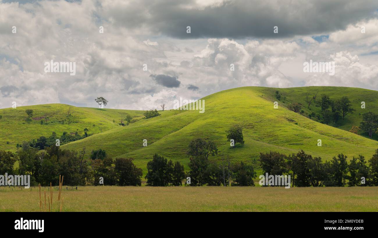 Malerische ländliche Szene mit sanften Hügeln mit Bäumen und einem wolkigen Himmel, der Schatten über die Landschaft Australiens schafft. Stockfoto