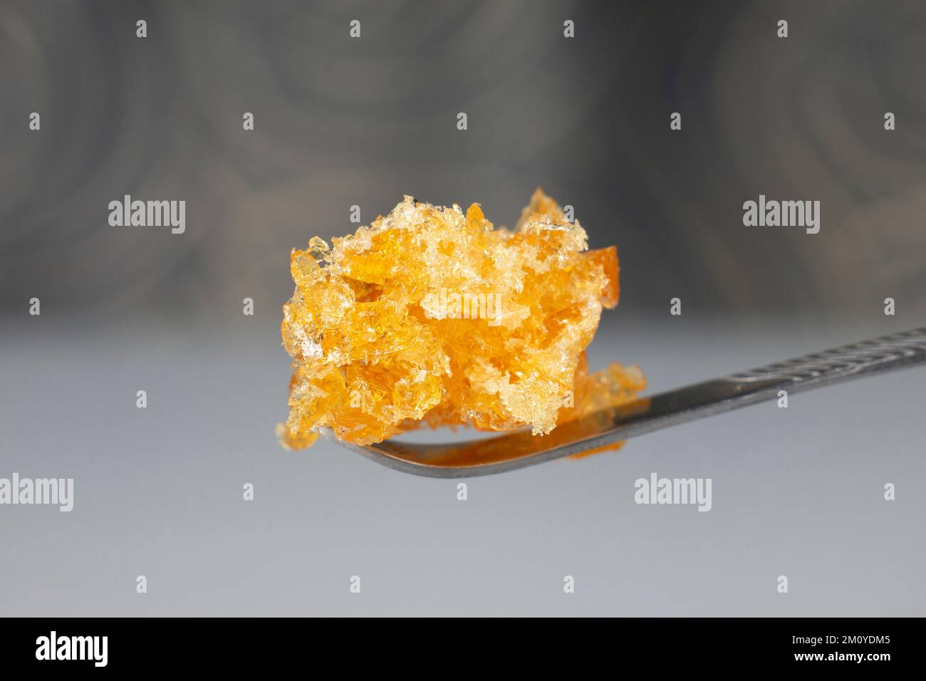 goldene Cannabiswachskristalle auf dem Tupfer, Marihuana-Crumble mit hohem thc-Gehalt. Stockfoto