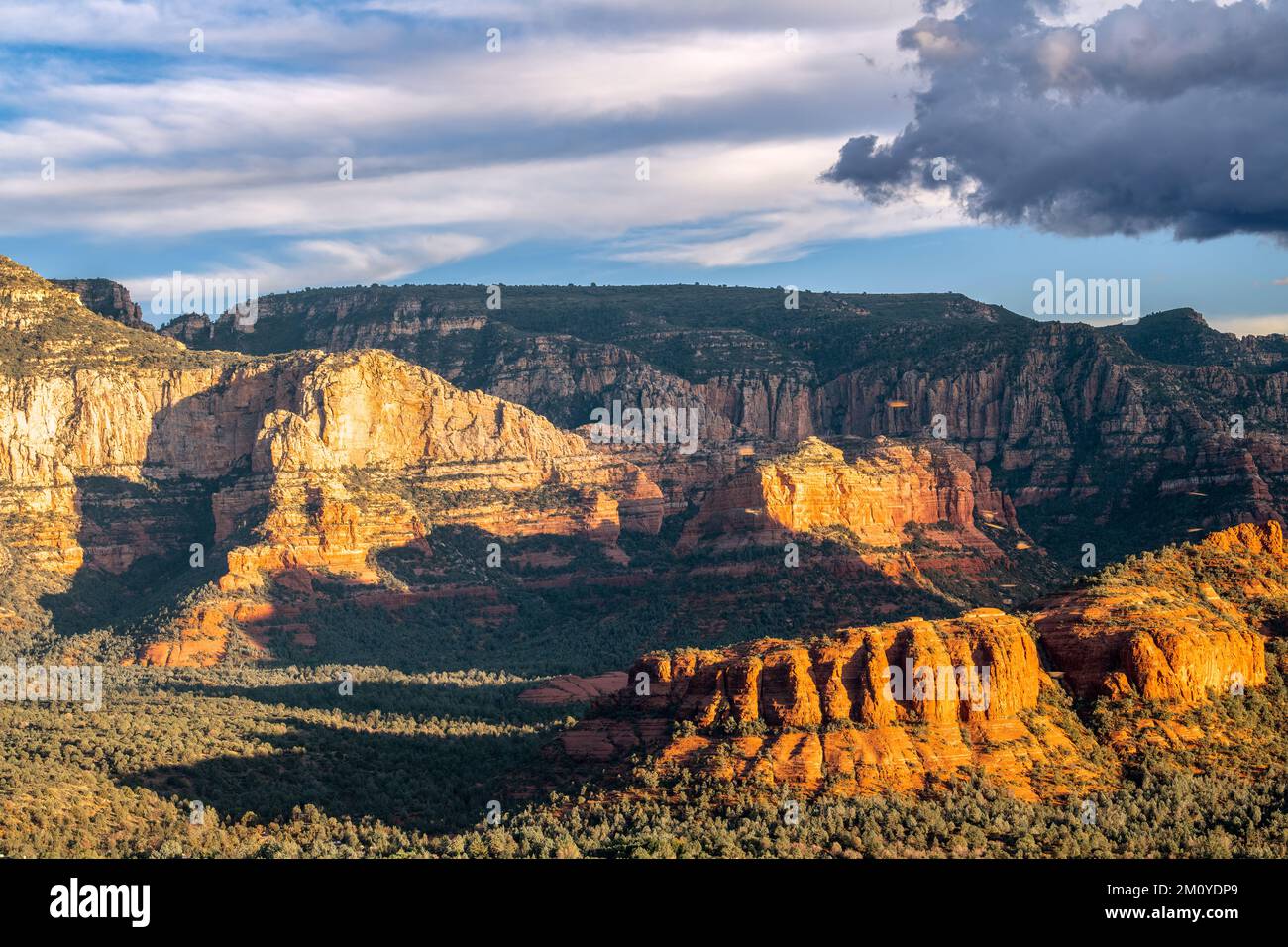 Lee Mtn und Battlement Mesa, Munds Mountain Wilderness, Arizona, USA, Anfang Oktober, Von Dominique Braud/Dembinsky Photo Assoc Stockfoto