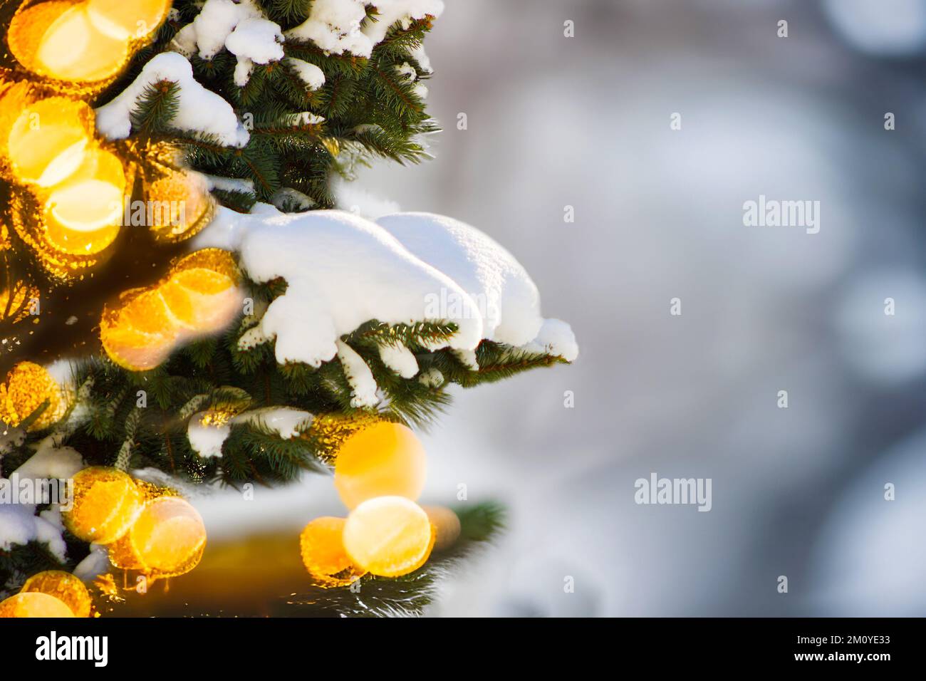 Frischer Schnee auf der Weihnachtskiefer mit gezieltem Bokeh-Lichtereffekt und Kopierraum. Frohe Feiertage und Weihnachtsthemen im Hintergrund. Stockfoto