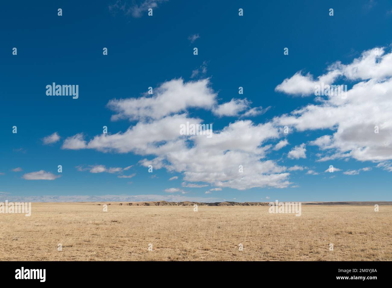 Grünland einer Ranch in New Mexico unter einem azurblauen Himmel mit flauschigen weißen Wolken Stockfoto