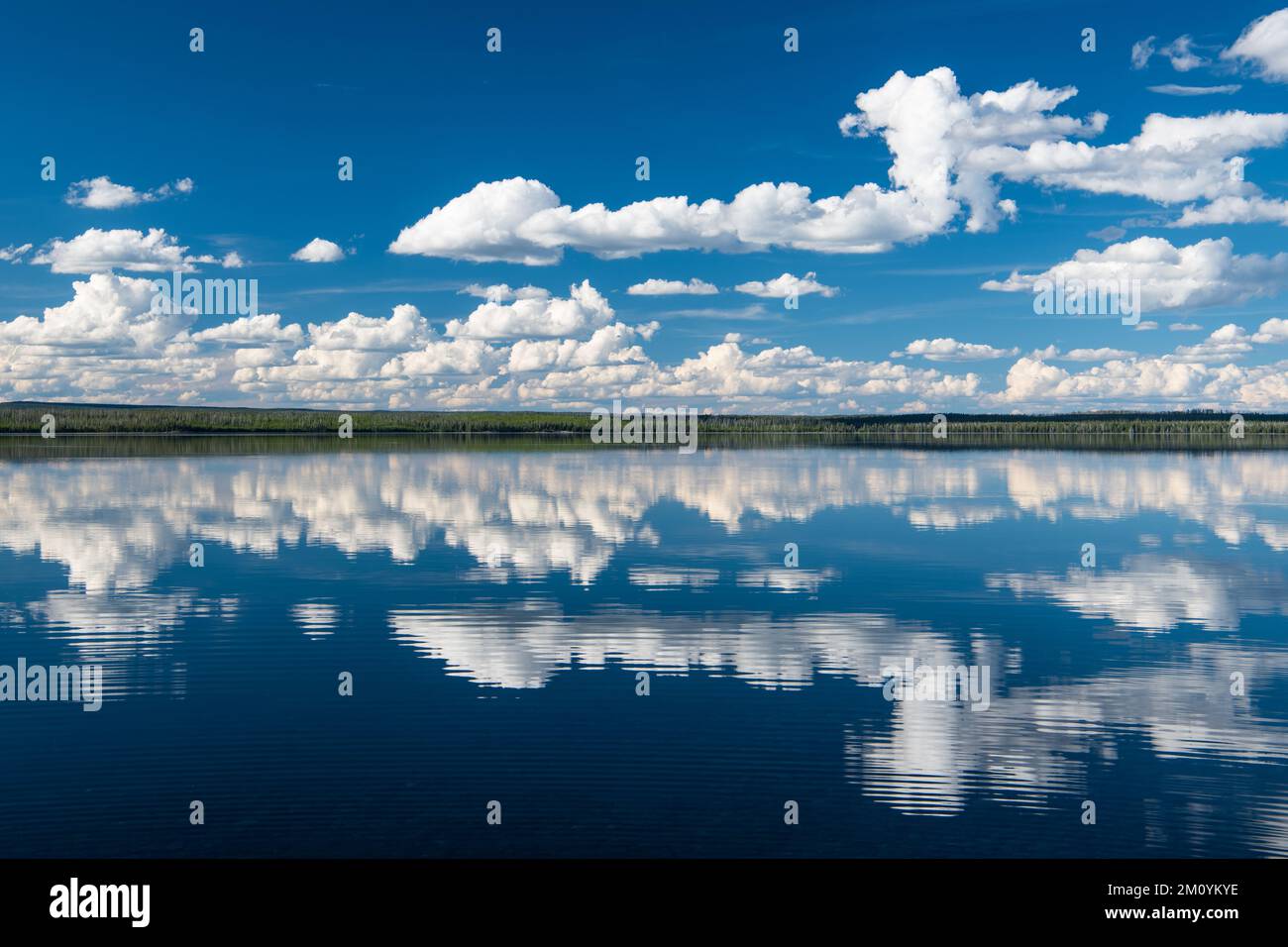 Friedliche, idyllische Szene mit blauem Himmel und flauschigen weißen Wolken, die sich im Wasser eines perfekt ruhigen Sees spiegeln Stockfoto