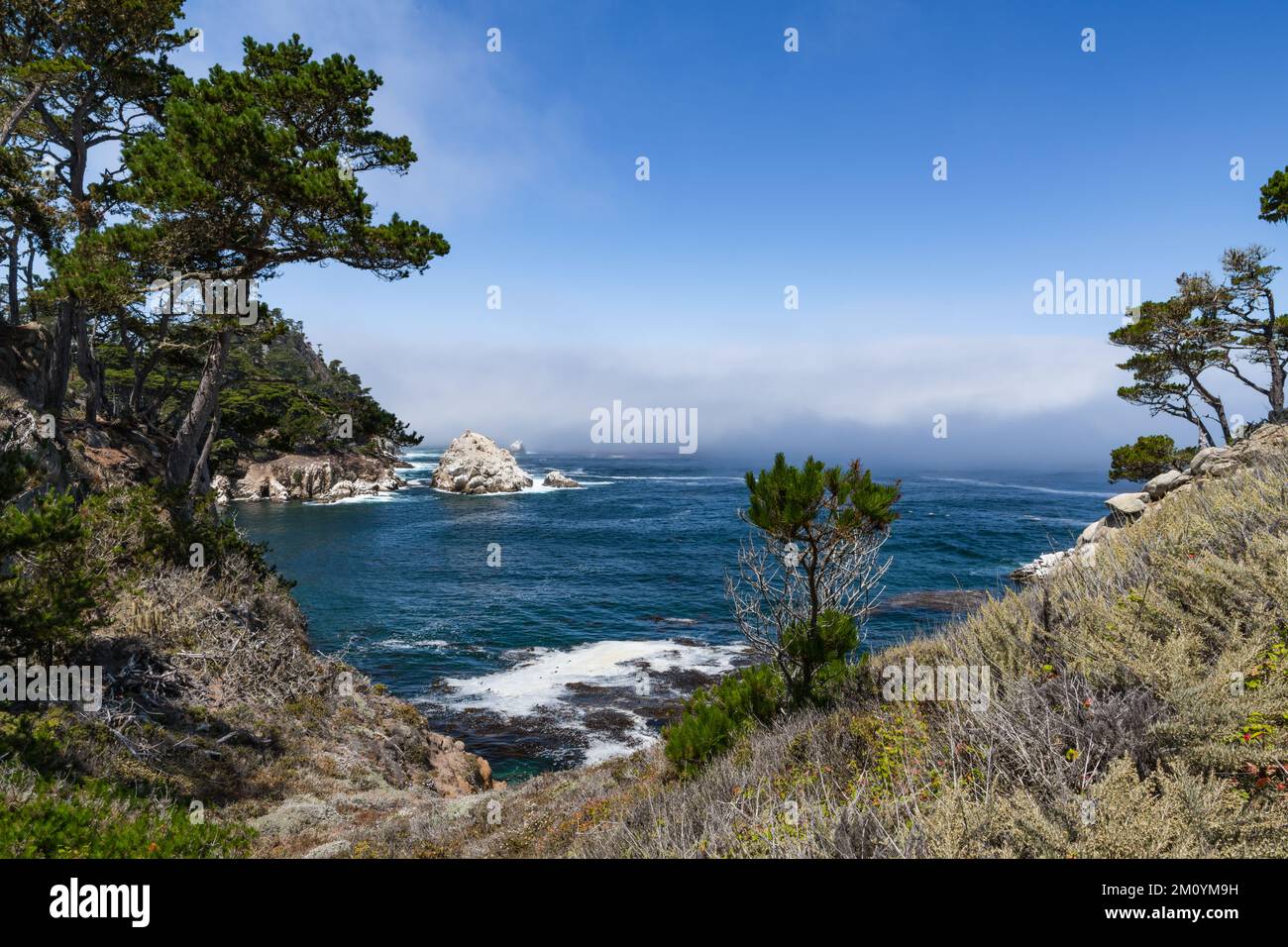 Eine Bucht im Point Lobos State Preserve mit einer Nebelbank in der Ferne Stockfoto