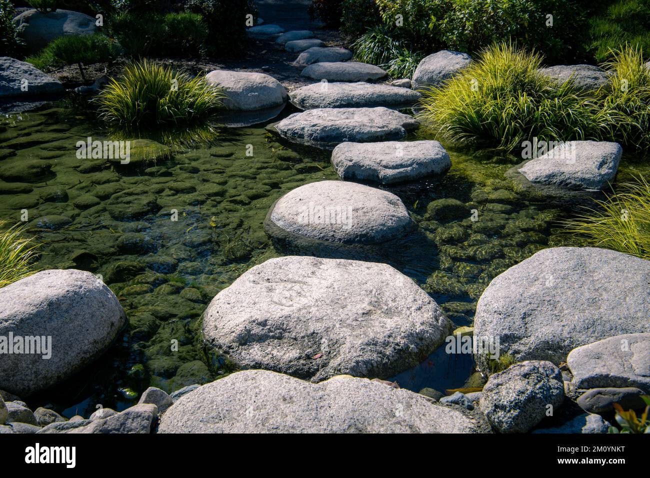 Friedliche Szene mit Sprungsteinen, die einen klaren Fluss in einem Zen-Garten durchqueren Stockfoto