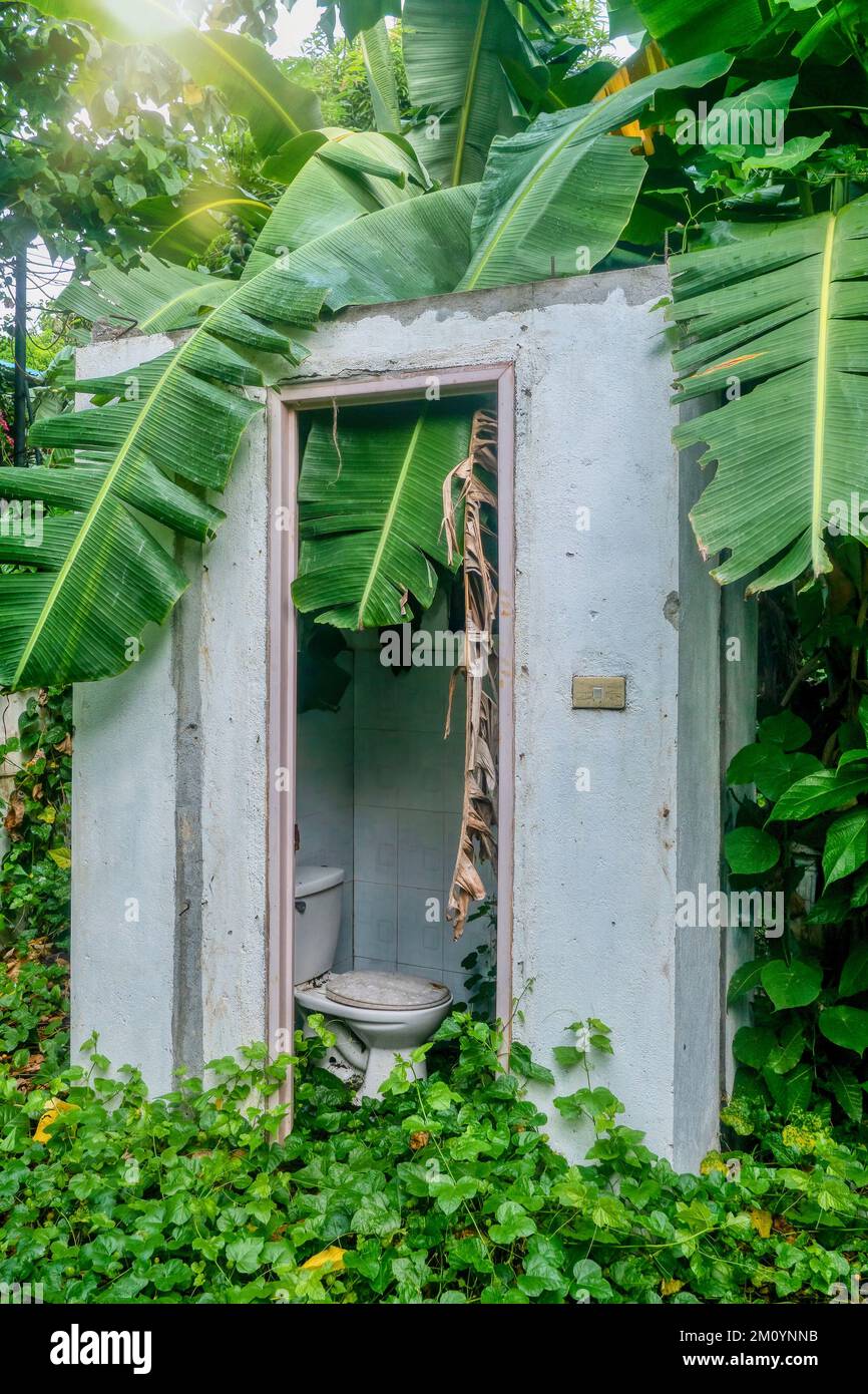 Die Natur übernimmt die Überreste eines verlassenen Hauses auf den Philippinen, mit Bananenblättern und Reben, die über einem ehemaligen Badezimmer wachsen. Stockfoto